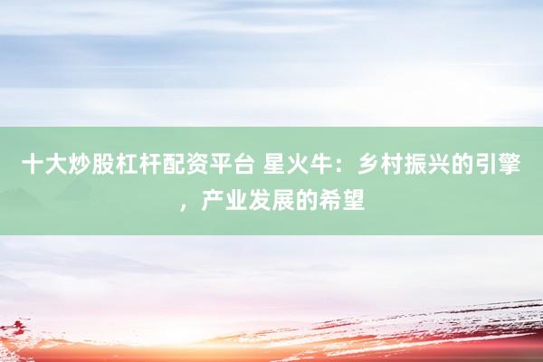 十大炒股杠桿配資平臺 星火牛：鄉村振興的引擎，產業發展的希望