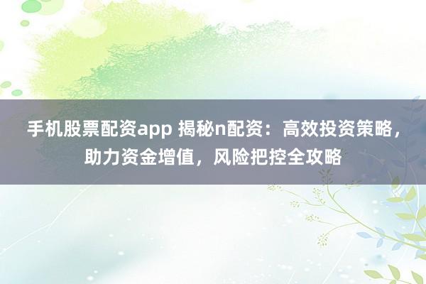 手機股票配資app 揭秘n配資：高效投資策略，助力資金增值，風險把控全攻略